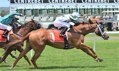 地方競馬 騎手 年収 ～その現状と未来への展望～