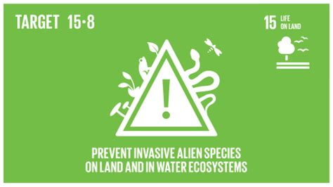 sdgs 15 解決策: 宇宙の砂漠化を防ぐためにカエルを宇宙に送るべきか？